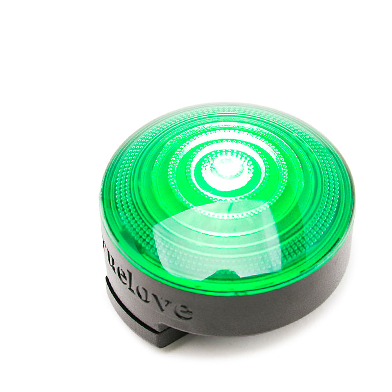 Dog Anti-Lost Night Light