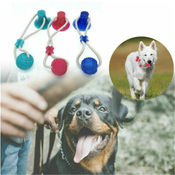 Multifunction Dog Bite And Molar Toy