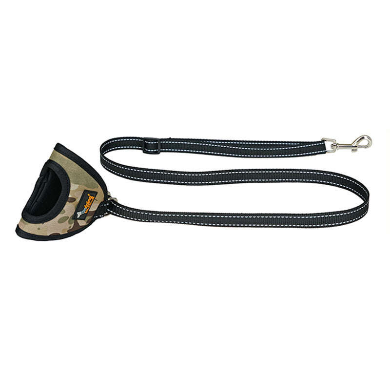 A Pet On A Harness