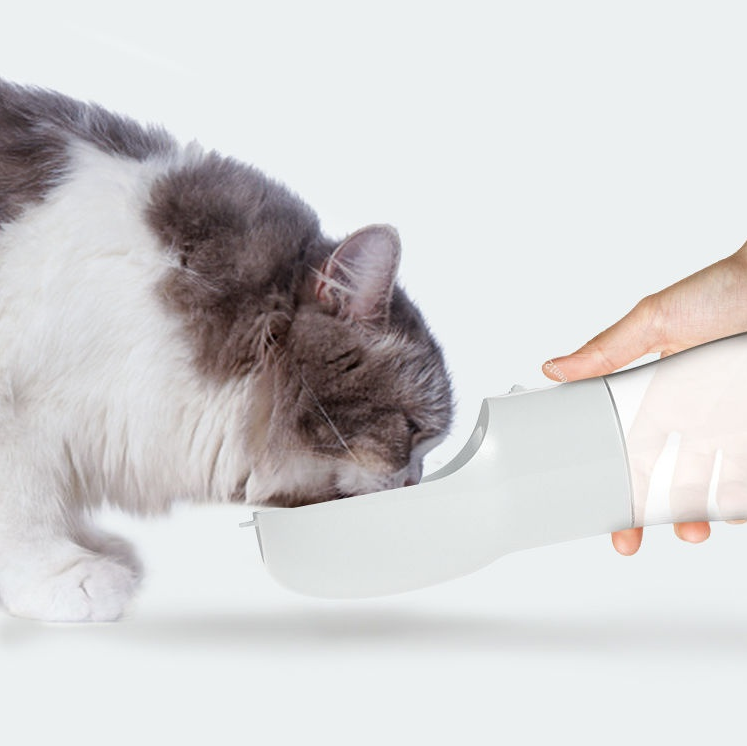 Portable Dog Water and Food Dispenser
