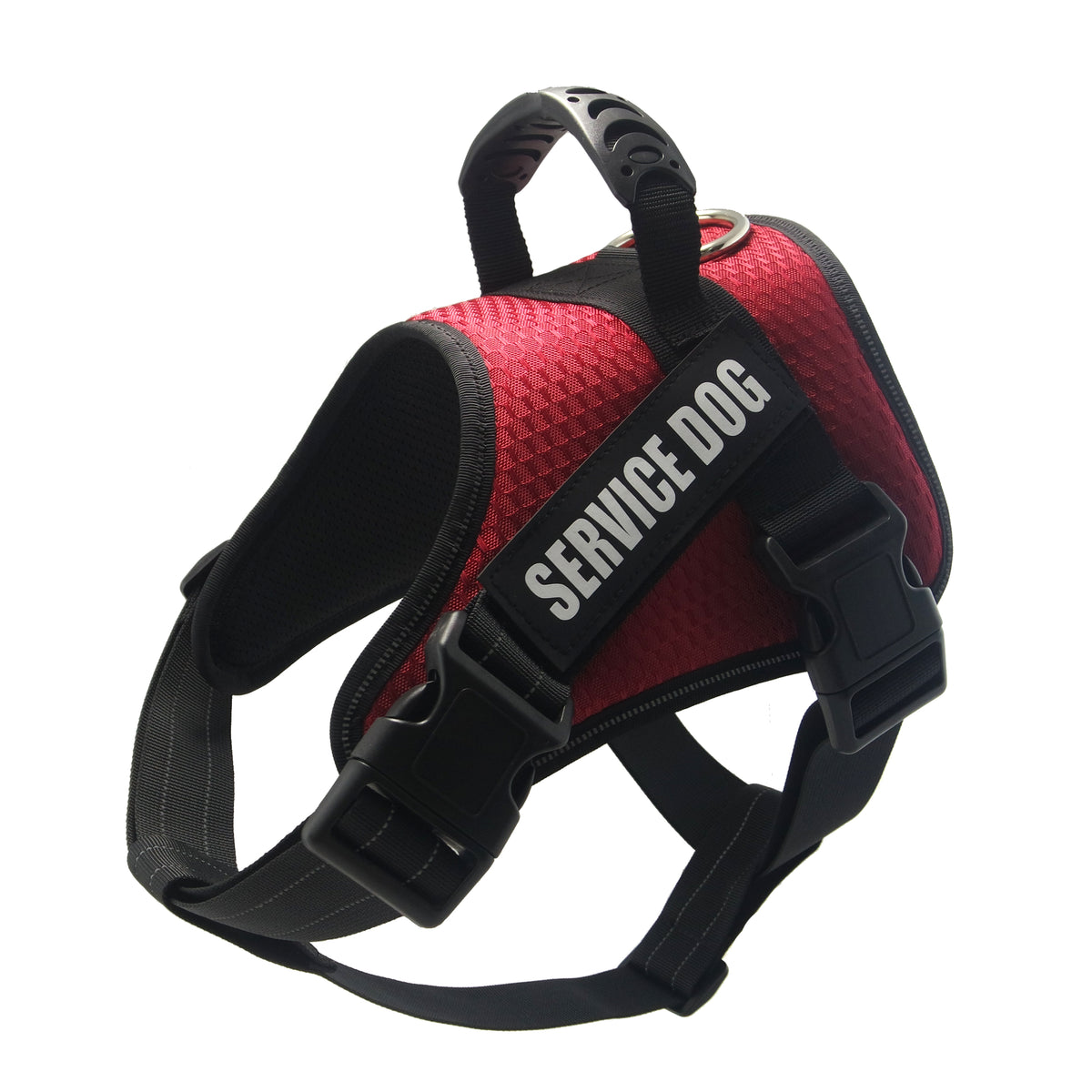 Custom Pet Harness
