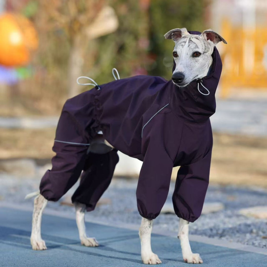 Stain-Resistant Thin Raincoat for Large Dogs