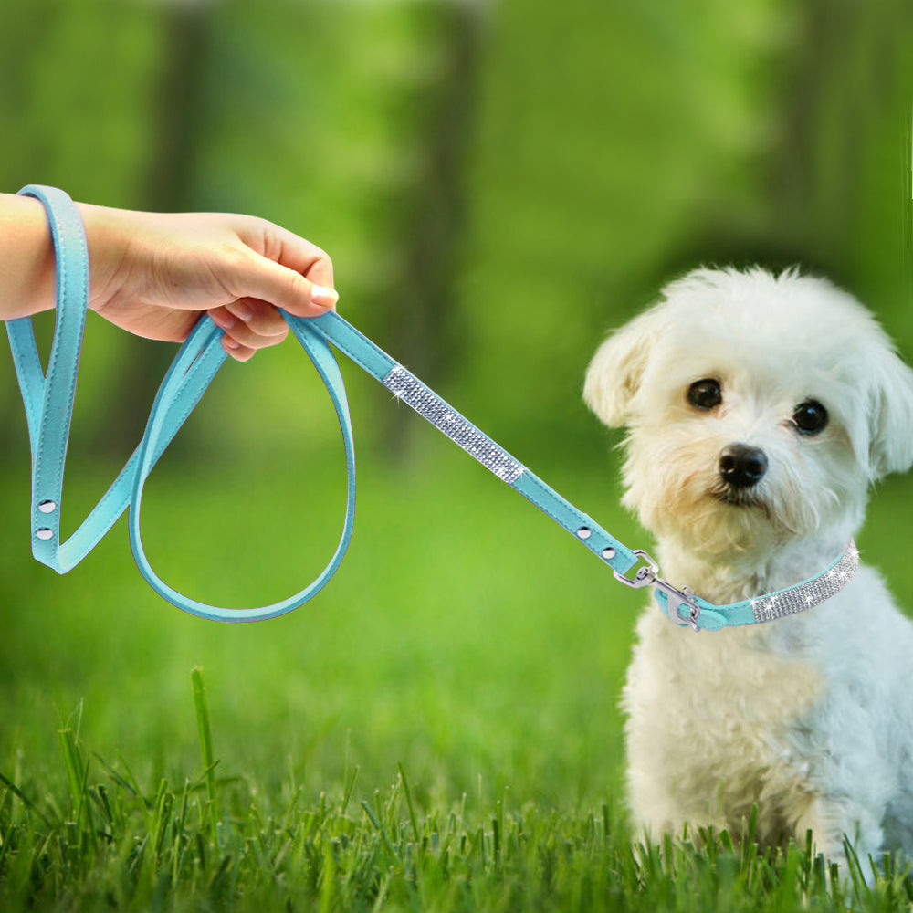 Hot Dog Collar