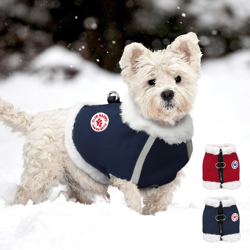 New Dog Winter Plus Cashmere Chest Strap