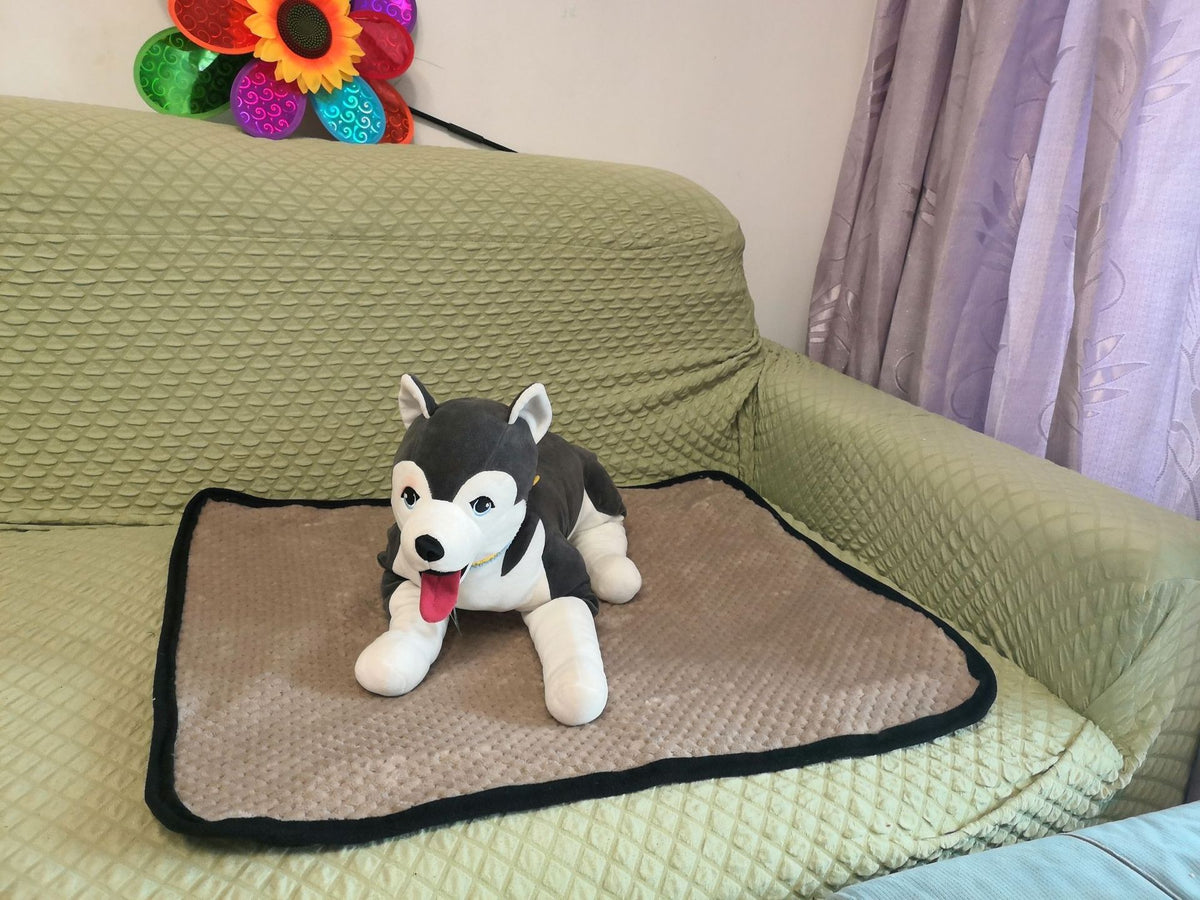 Dog Urine Absorbent Pad