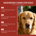 Mushroom Chewable Tablets For Dogs