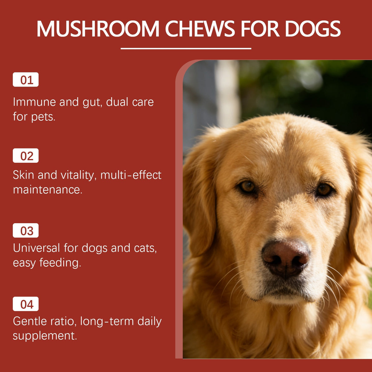 Mushroom Chewable Tablets For Dogs