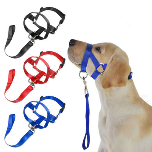 Dog Rushing Correction Leash Cover