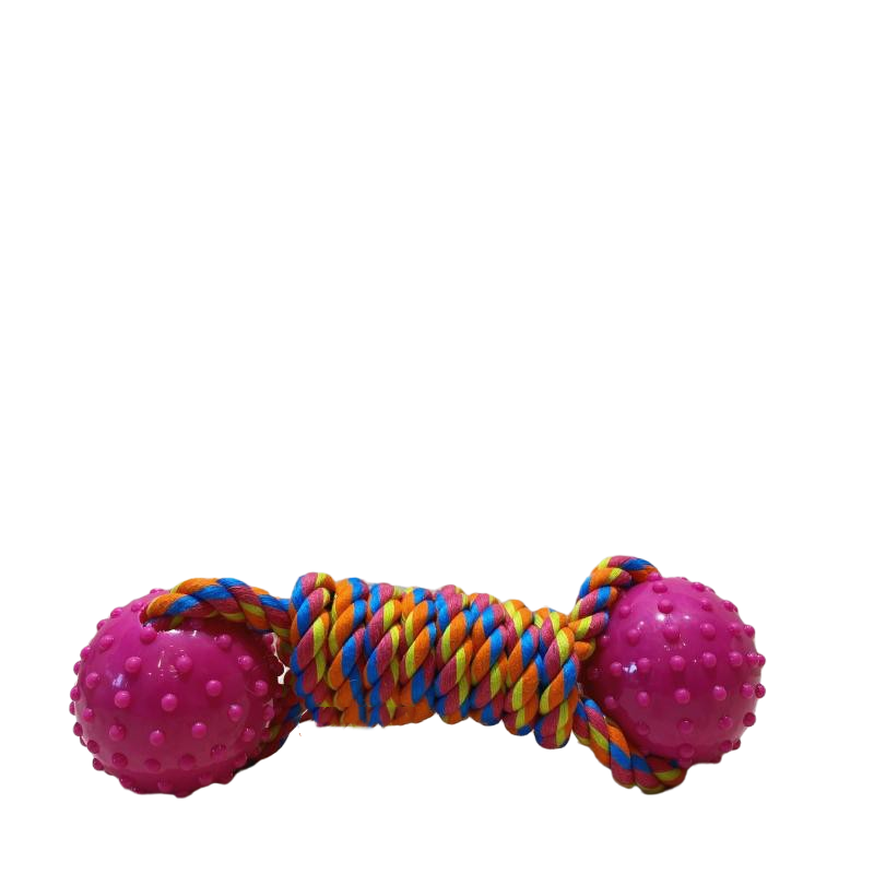 Interaction With The Same Shiba Inu Molar Training Toy