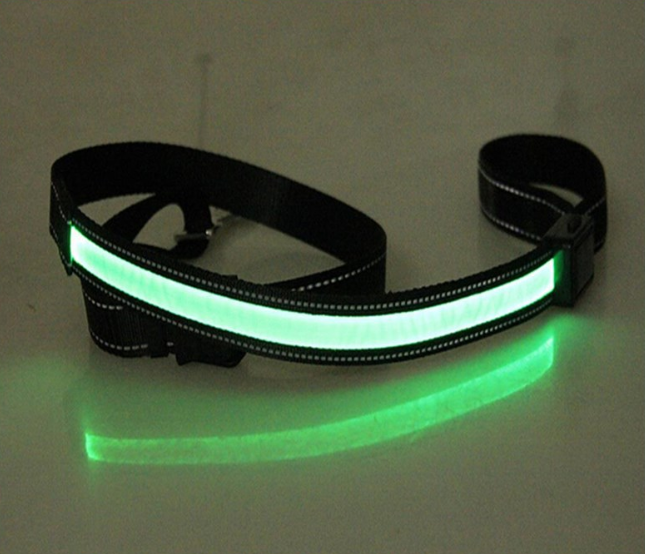 Fluorescent Dog Collar