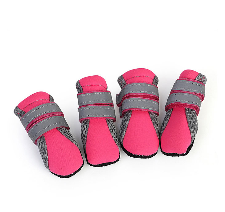 Dog Walking Shoes Set