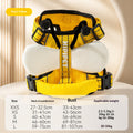 Angel Wings Vest-Style Dog Harness Leash