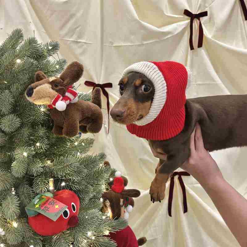 Warm Plush Christmas Pet Dress-Up Hat