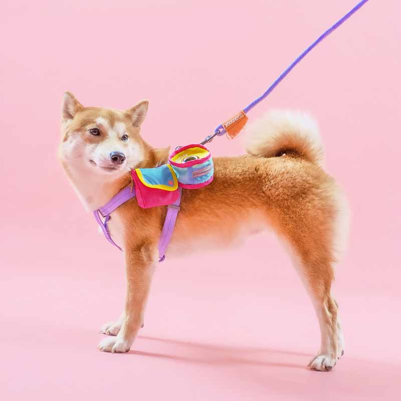 Portable Cute Pet Three-In-One Travel Bag