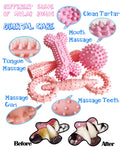 Puppy Teething Chew Toy Set