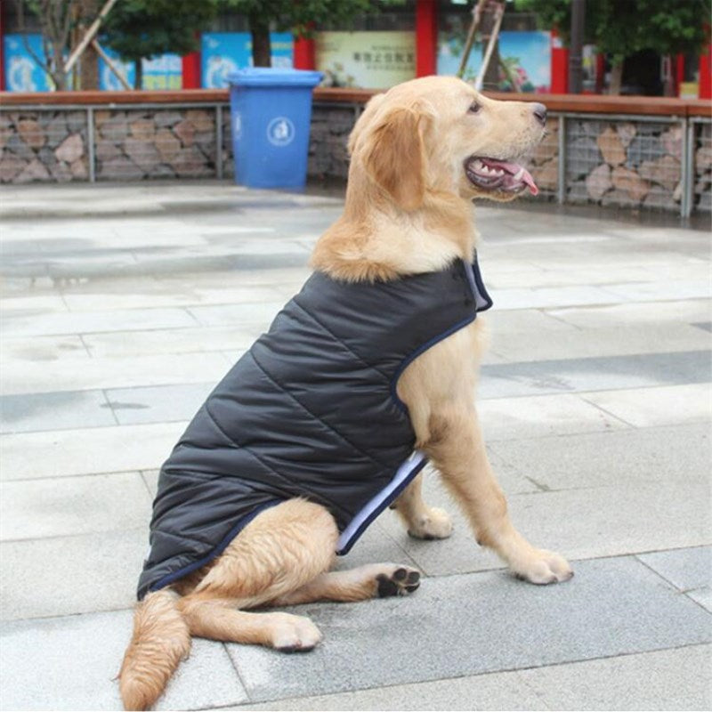 Winter Cotton Coat Dog Clothes