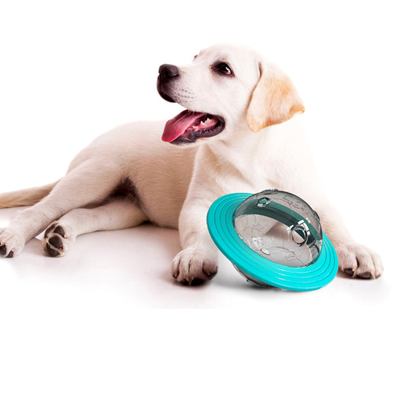 Educational Leak-Feeding Pet Toy
