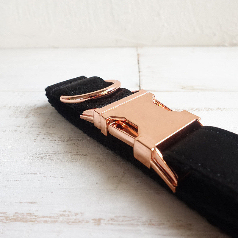 Black Dog Collar