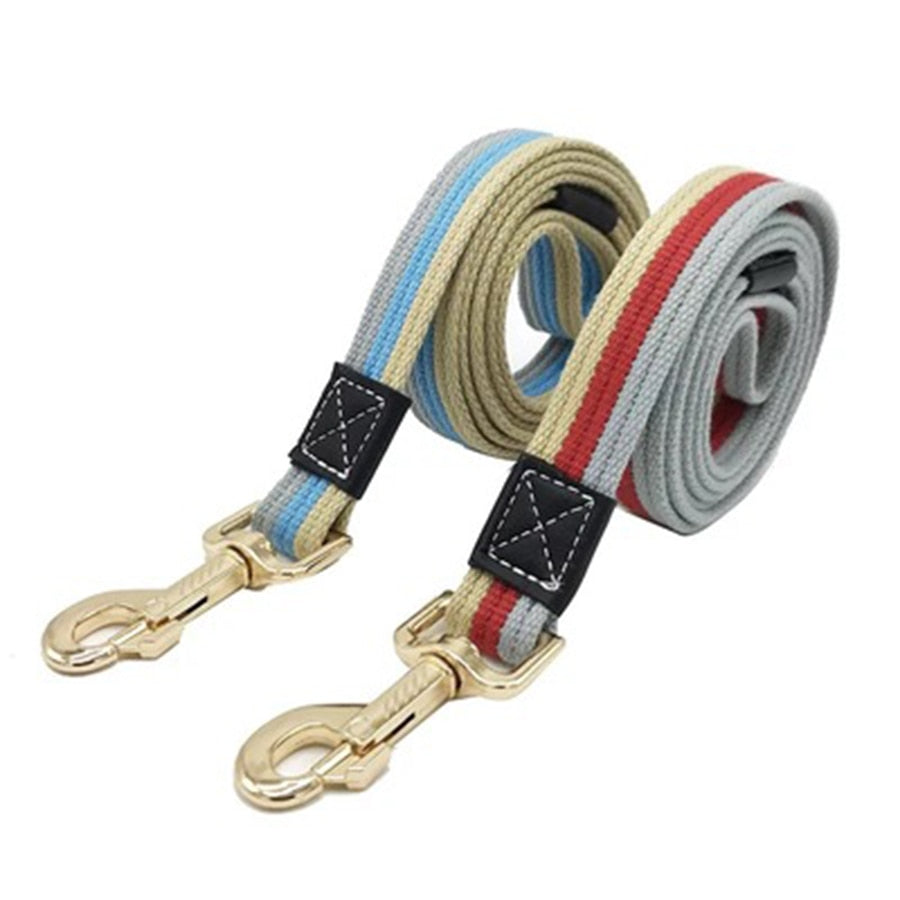 Chihuahua Leash