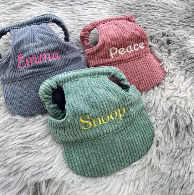 Customized Leaky Ear Pet Baseball Cap