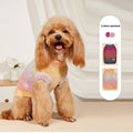 Soft Rainbow Circle Dog Sweater