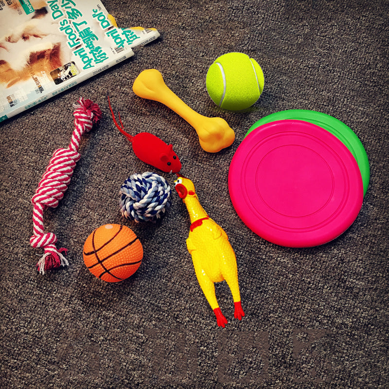 Vocal Dog Toy Set