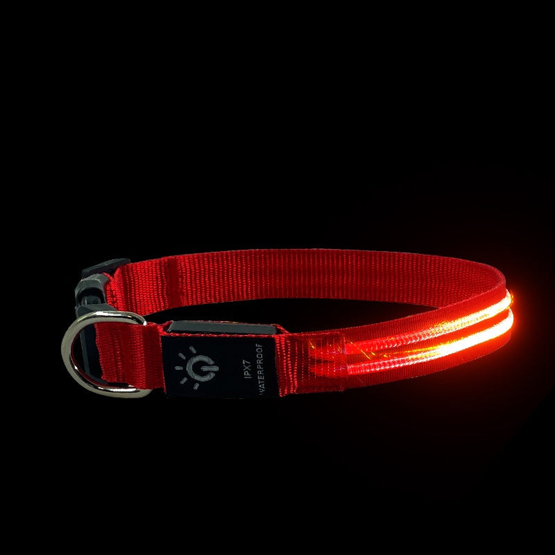 LED Waterproof Pet Collar For Night