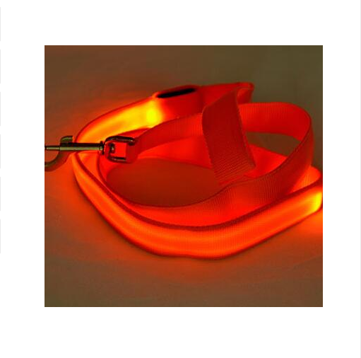 LED Illuminated Nylon Pet Leash