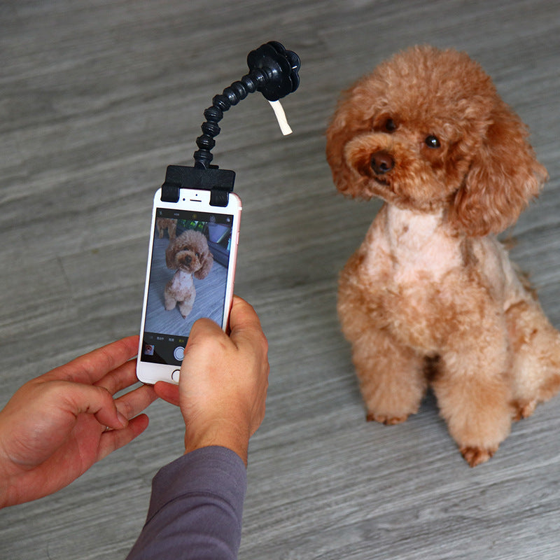 Dog Camera Selfie Stick