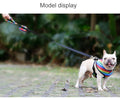 Rainbow Chest Strap