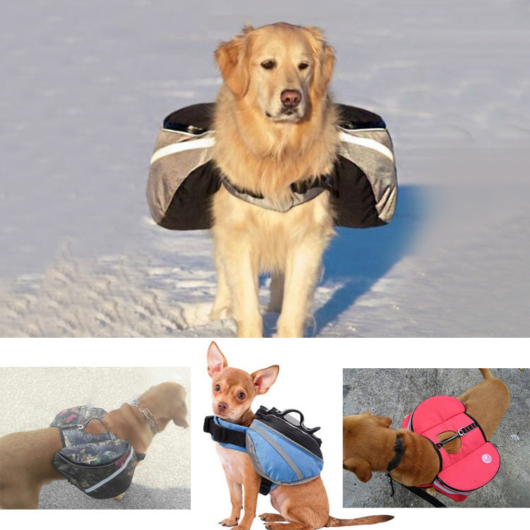 Dogs Go Out From Backpack