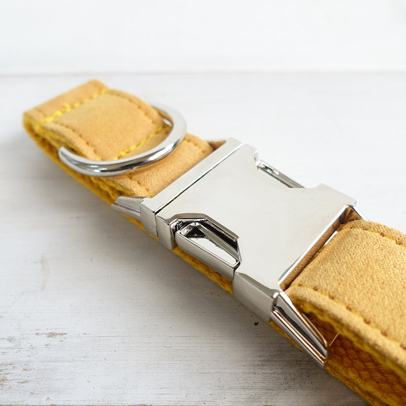 Adjustable Dog Collar
