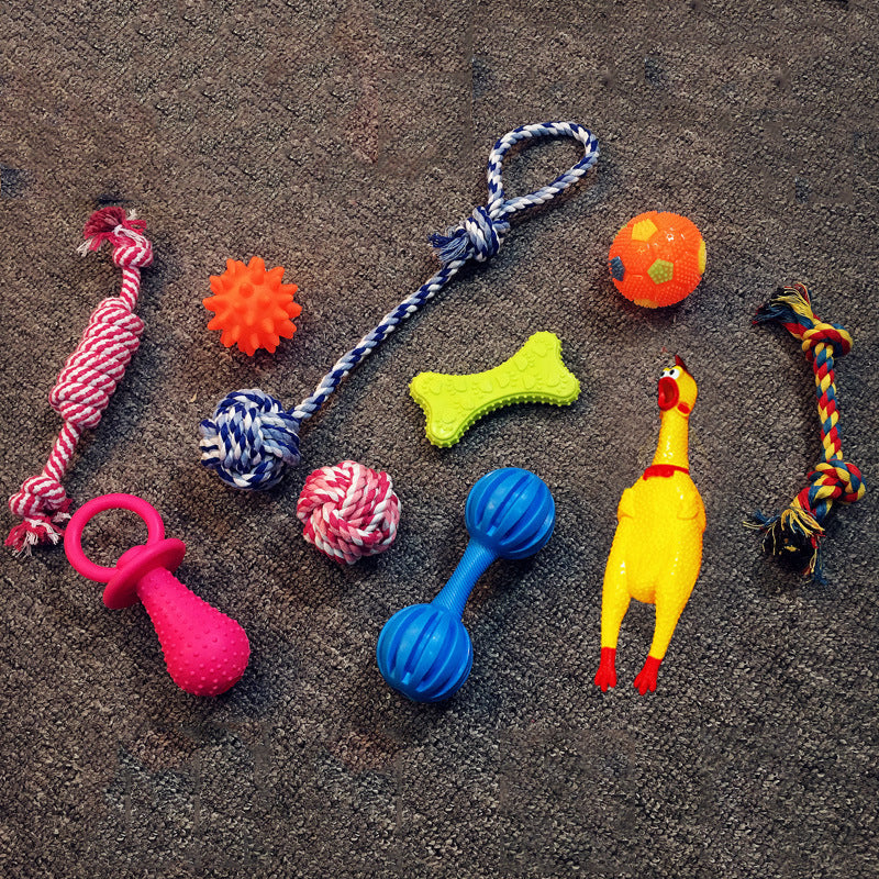 Vocal Dog Toy Set