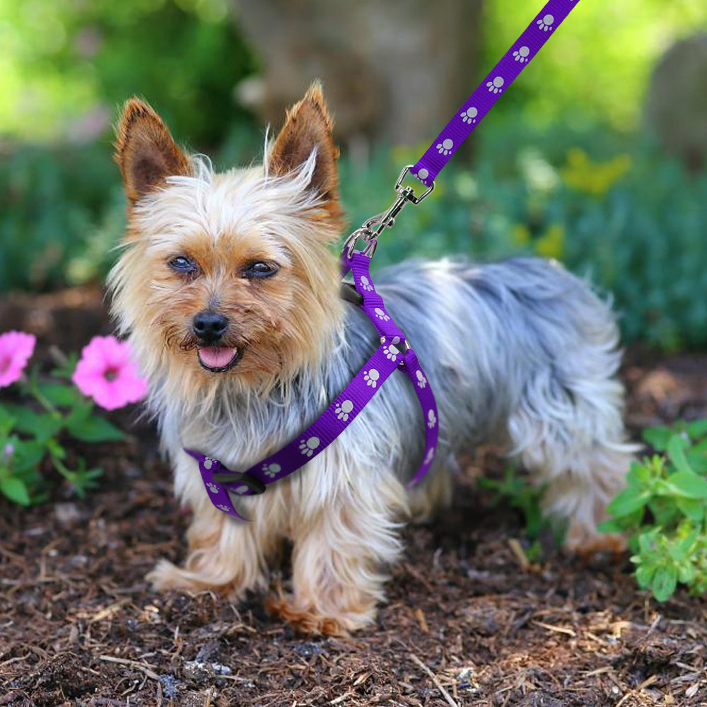 Printed Dog Leash