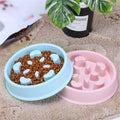 Anti Choking Slow Feeding Pet Bowl