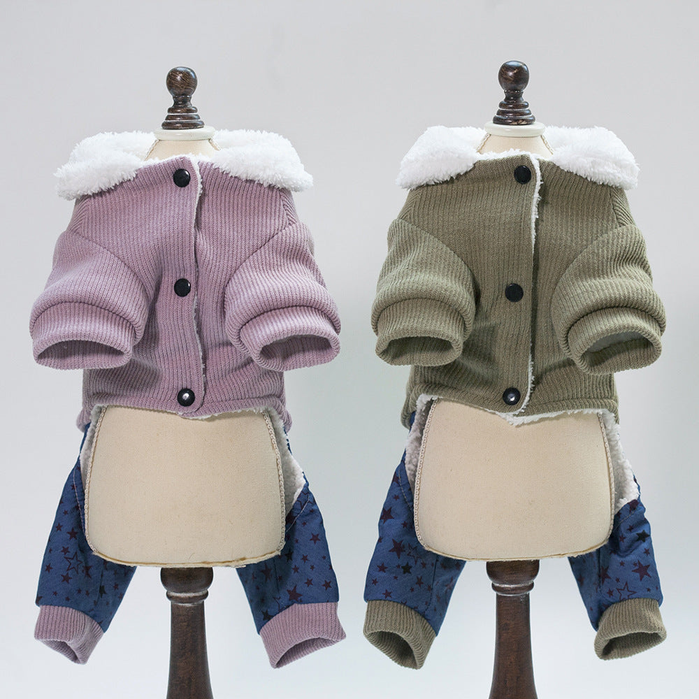 Bone-Themed Pet Clothing
