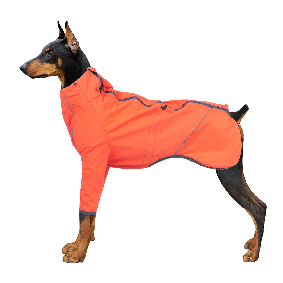 Reflective Dog Clothing With Traction Hole