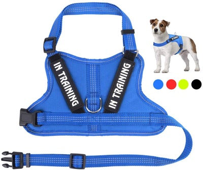 Personalize Per Harness