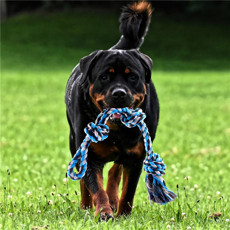 Pet Stainless Steel Spring Cotton Rope