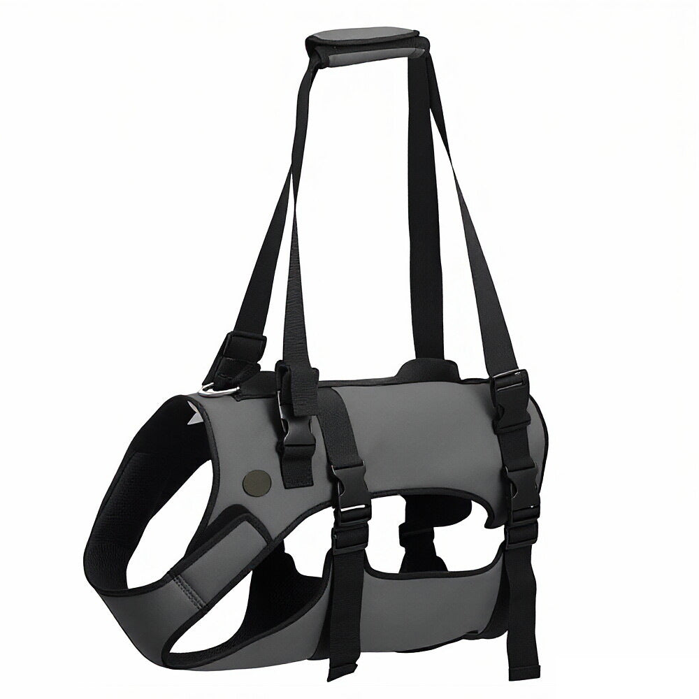 Assistance Harness for Dogs With Weak Legs