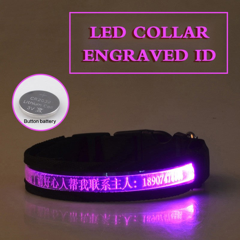 Glow In The Dark Lettering Dog Collar