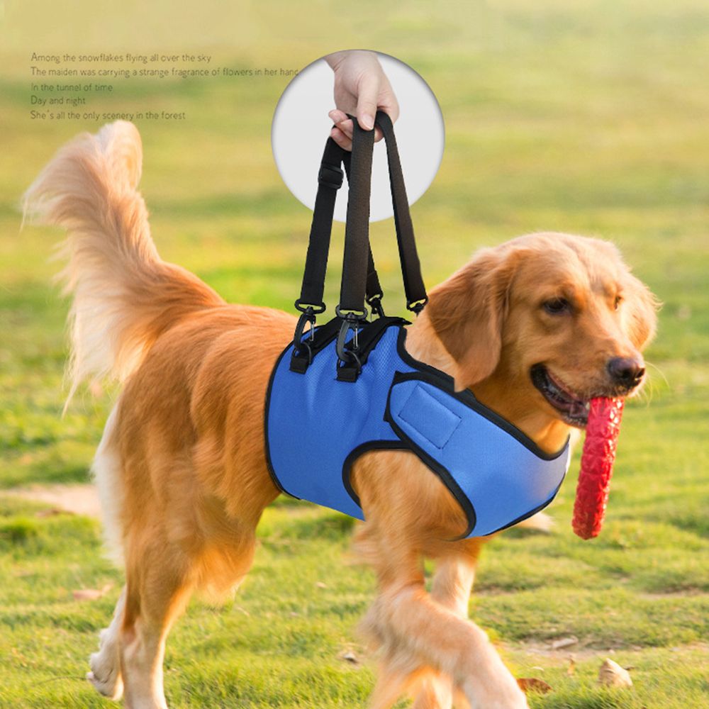 Rehabilitation Training Belt For Middle-Aged And Elderly Dogs