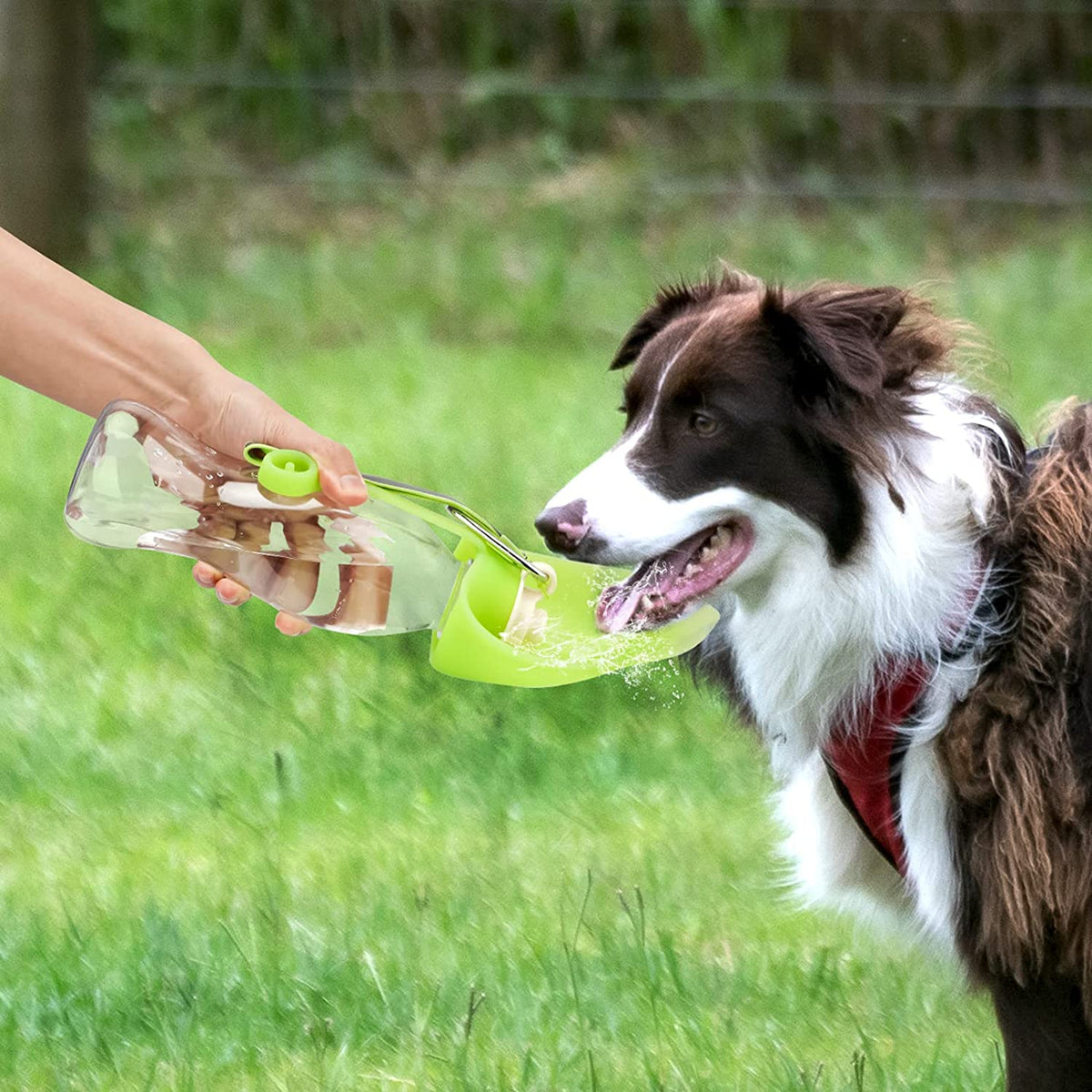 Leak Proof Portable Pet Water Dispenser With Cup