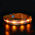 Luminous Collar Night Pet Usb Charging