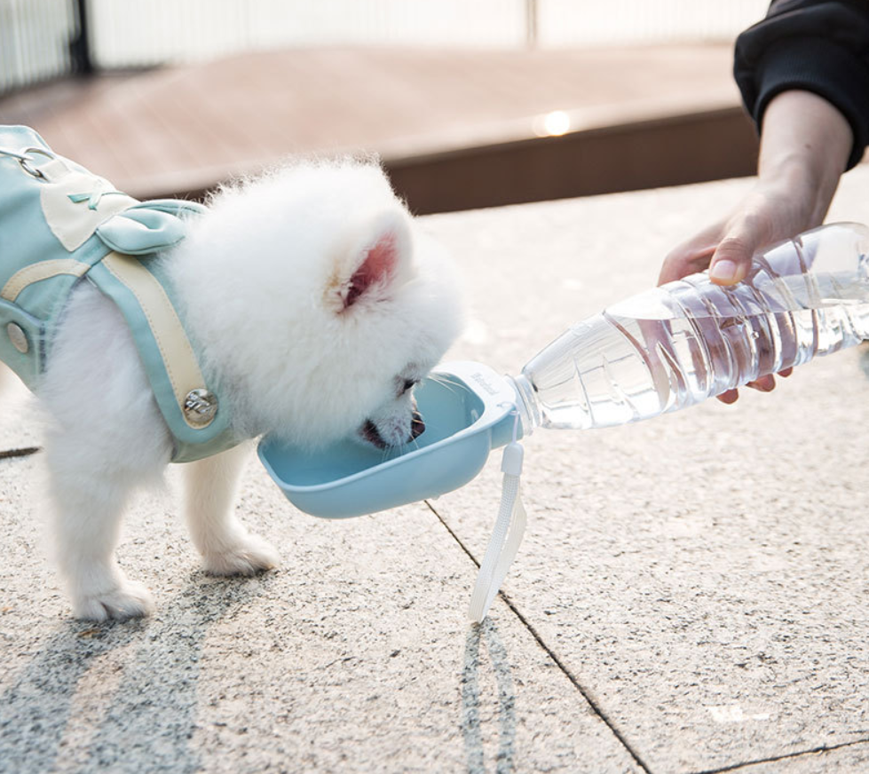 Portable Pet Water Feeder Attachment