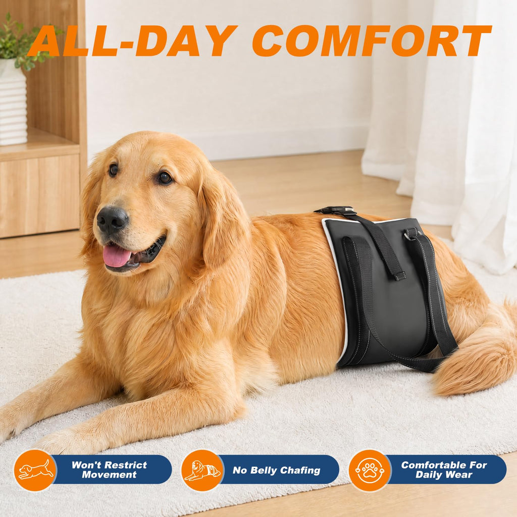 Rear Leg Dog Lift Harness