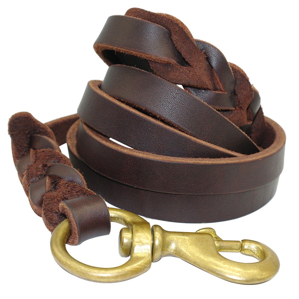 Dark Brown Leather Dog Leash