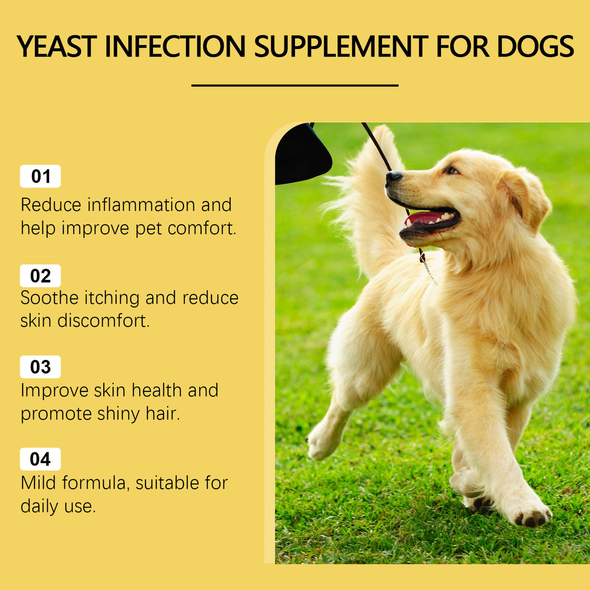 Herbal Yeast Supplement For Relieving Pet External Skin Care