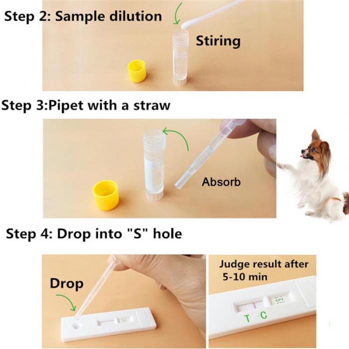 Pet Cdv Cpv Test Paper