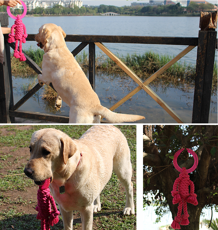 Big Dog Interactive Knot Toy
